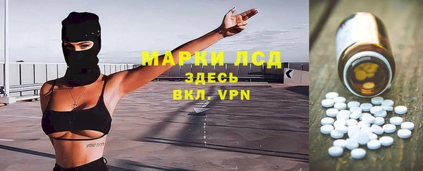 ГАЛЛЮЦИНОГЕННЫЕ ГРИБЫ Балахна