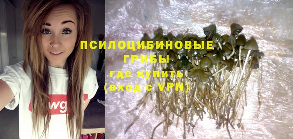 твердый Балабаново