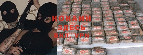 ГАЛЛЮЦИНОГЕННЫЕ ГРИБЫ Балахна