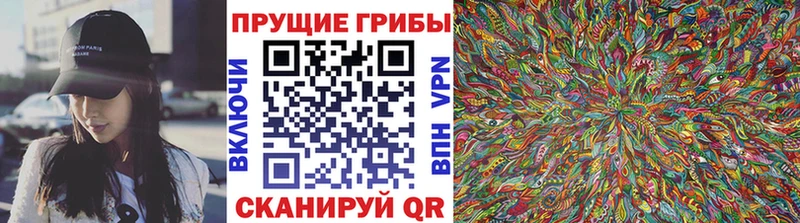 Псилоцибиновые грибы MAGIC MUSHROOMS  Ленск 